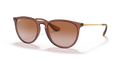 Ray-Ban RB4171 Erika Sunglasses