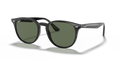 Ray-Ban RB4259F  Sunglasses
