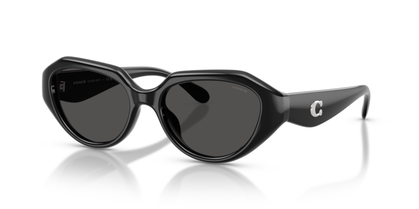 Coach HC8433U Cby77 Sunglasses