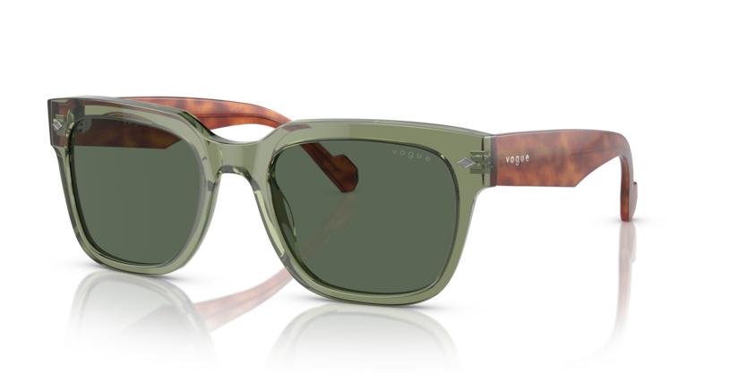 Vogue VO5490S  Sunglasses