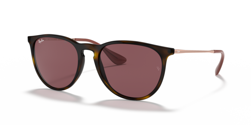 Ray-Ban RB4171 Erika Sunglasses