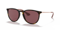 Ray-Ban RB4171 Erika Sunglasses