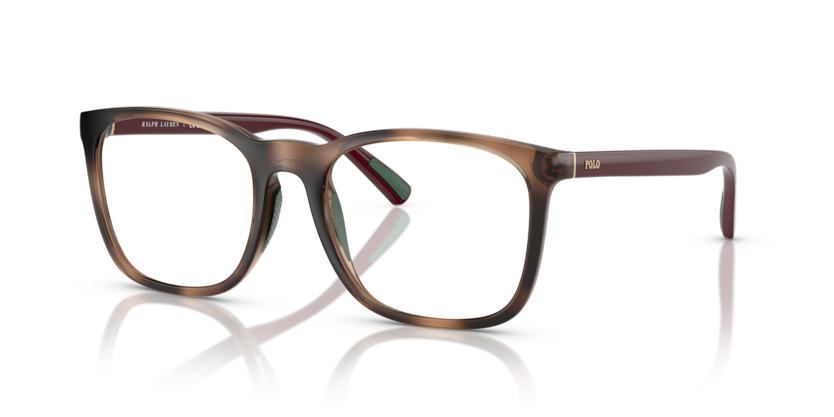 Polo PH2281U  Eyeglasses