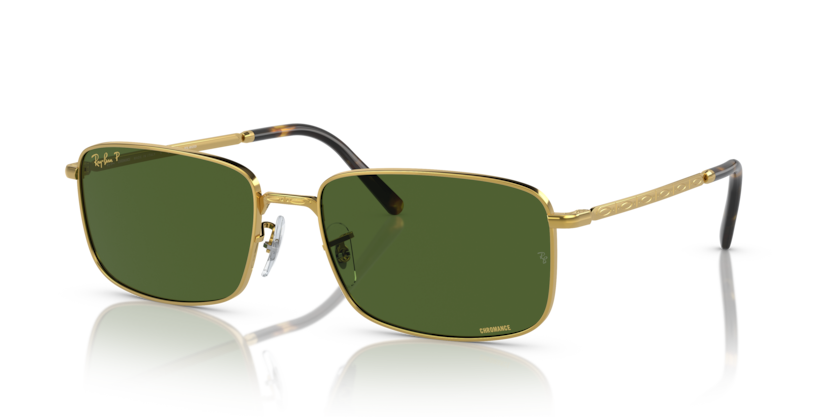 Ray-Ban RB3717  Sunglasses