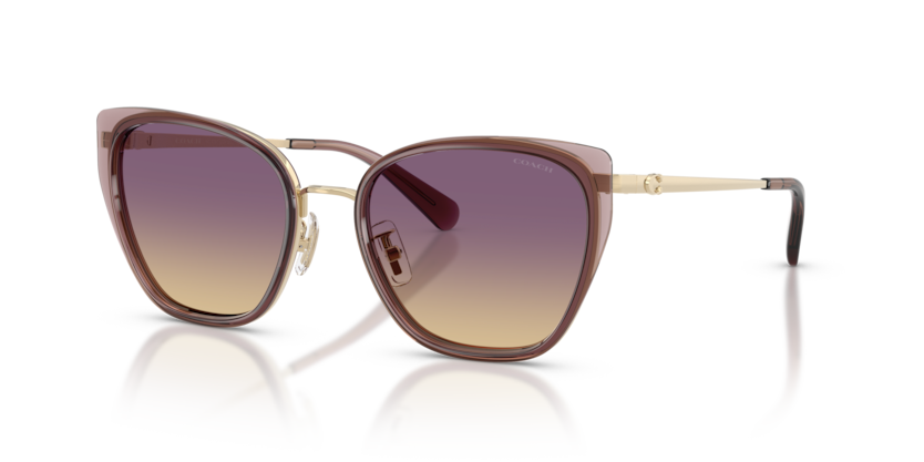 Coach HC7187 Cdp56 Sunglasses