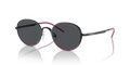 Emporio Armani EA2151  Sunglasses