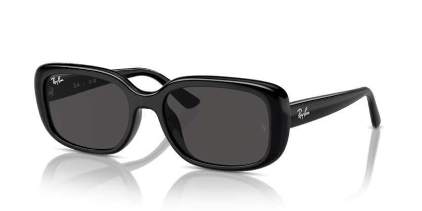 Ray-Ban RB4421D  Sunglasses