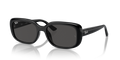 Ray-Ban RB4421D  Sunglasses