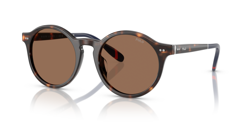 Polo PH4204U  Sunglasses