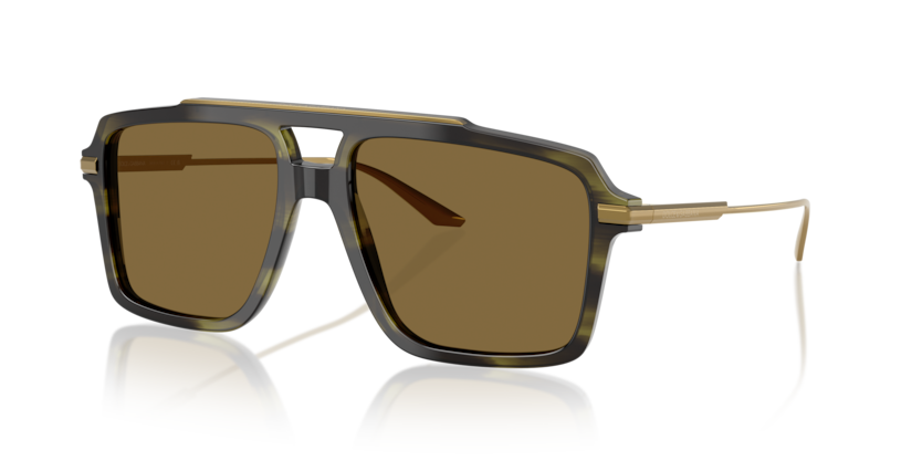 Dolce & Gabbana DG4477  Sunglasses