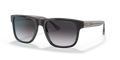 Emporio Armani EA4163  Sunglasses