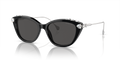Swarovski SK6010F  Sunglasses