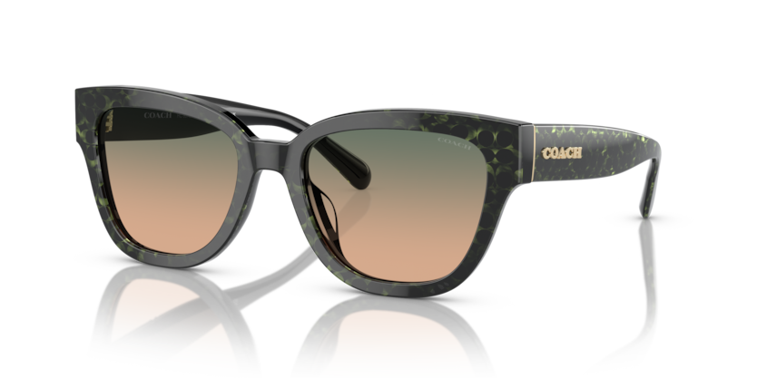 Coach HC8379U Cl920 Sunglasses