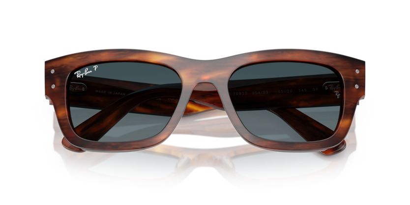 Ray-Ban RB7683S Joseph Sunglasses