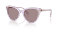 Swarovski SK6031  Sunglasses