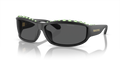 Swarovski SK6009  Sunglasses