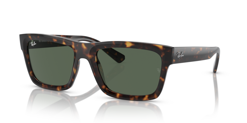 Ray-Ban RB4396F Warren Sunglasses