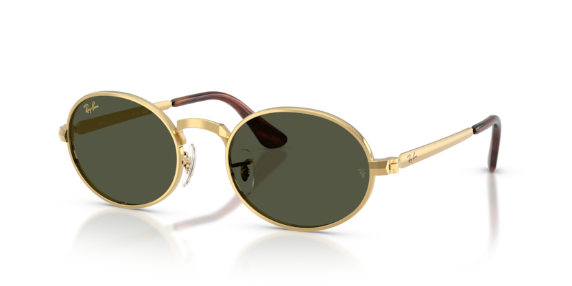 Ray-Ban RB3931  Sunglasses