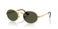 Ray-Ban RB3931  Sunglasses