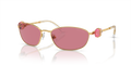 Swarovski SK7010  Sunglasses