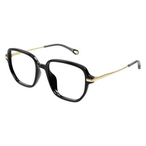 Chloé CH0218OA Eyeglasses