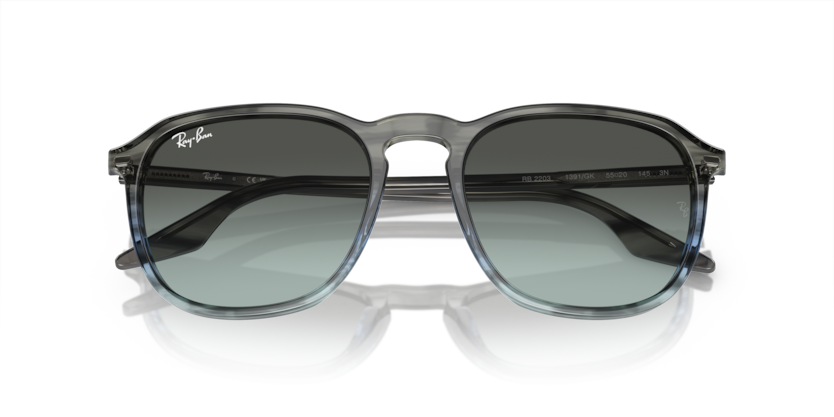 Ray-Ban RB2203  Sunglasses