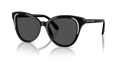 Swarovski SK6031  Sunglasses