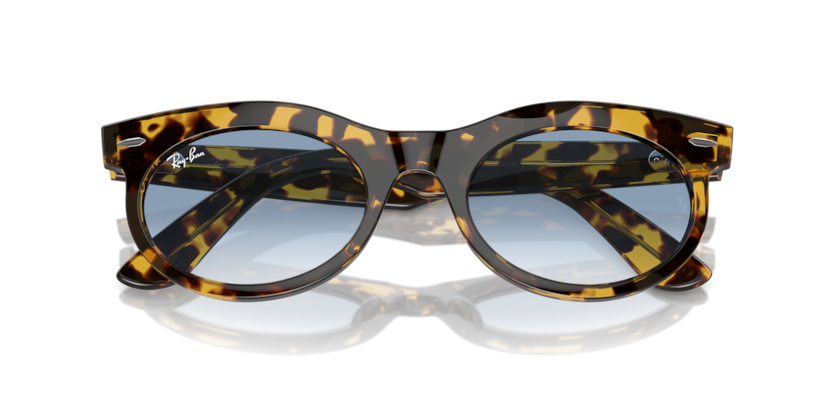 Ray-Ban RB2242 Wayfarer Oval Sunglasses