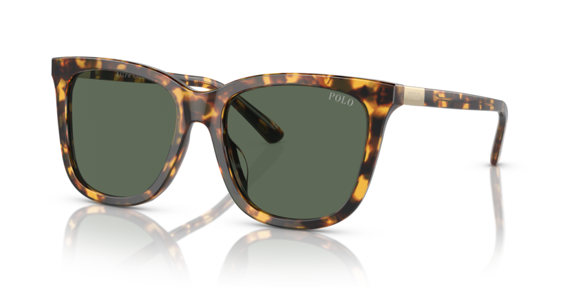 Polo PH4201U  Sunglasses