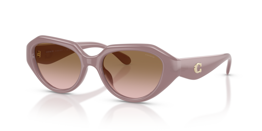 Coach HC8433U Cby77 Sunglasses