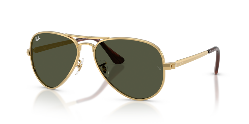 Ray-Ban RB3925 Aviator Max Sunglasses