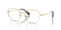 Swarovski SK1011  Eyeglasses