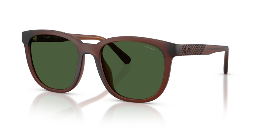 Coach HC8442U Cca00 Sunglasses