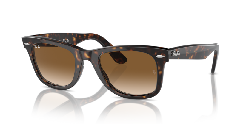 Ray-Ban RB2140 Wayfarer Sunglasses