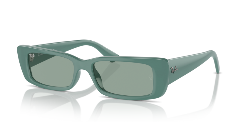 Ray-Ban RB4425F Teru Sunglasses