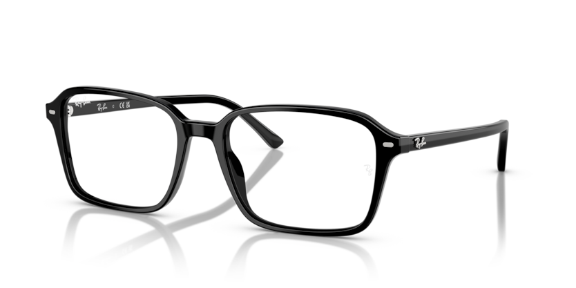 Ray-Ban RB2231F Raimond Sunglasses
