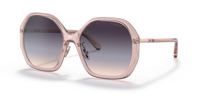 Coach HC8343 C9204 Sunglasses