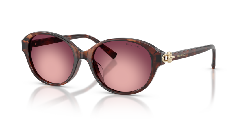 Tiffany TF4263D  Sunglasses
