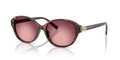 Tiffany TF4263D  Sunglasses
