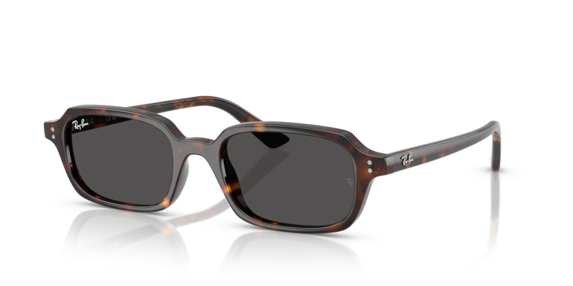 Ray-Ban RB4455F Zuri Sunglasses