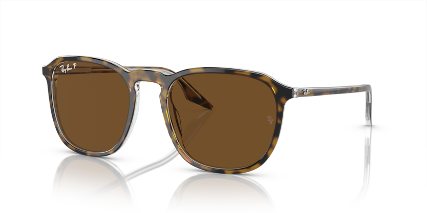Ray-Ban RB2203  Sunglasses