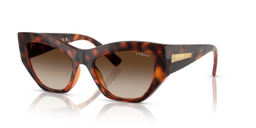 Vogue VO5607S  Sunglasses