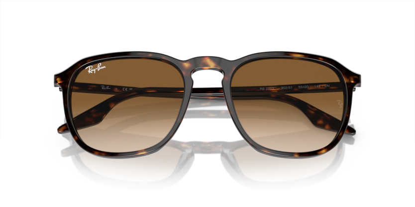 Ray-Ban RB2203  Sunglasses