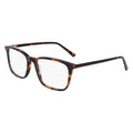 Lenton And Rusby LR4015 Eyeglasses
