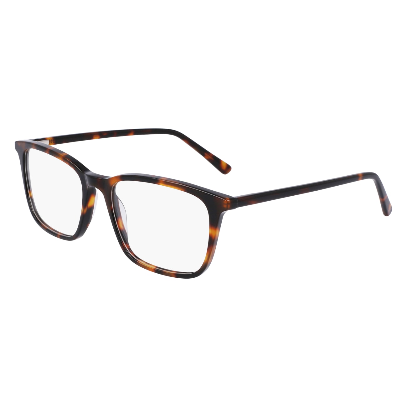 Lenton And Rusby LR4015 Eyeglasses