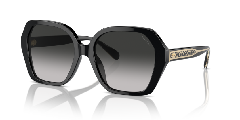 Coach HC8404U Cr615 Sunglasses