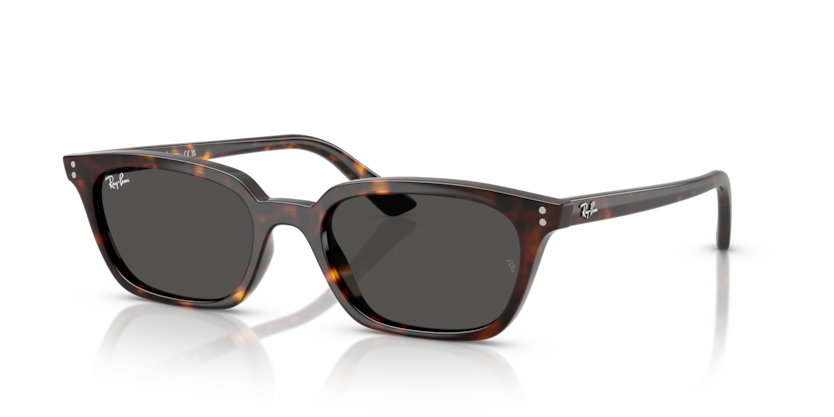 Ray-Ban RB4456 Zaya Sunglasses