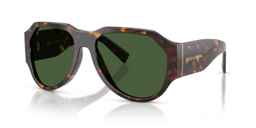 Dolce & Gabbana DG4504  Sunglasses