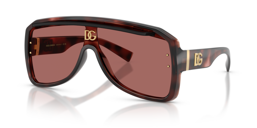 Dolce & Gabbana DG6205  Sunglasses