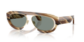 Giorgio Armani AR8239  Sunglasses